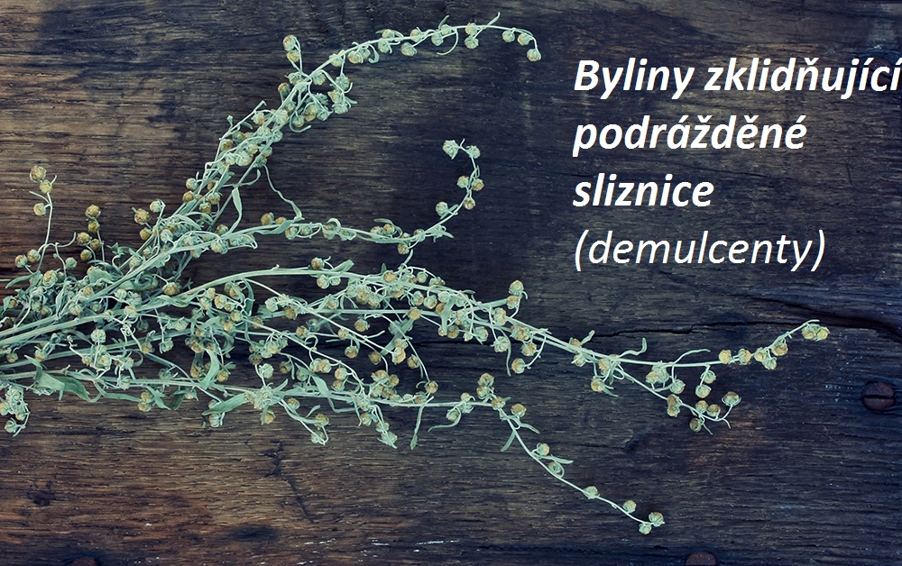 Byliny zklidňující podrážděné sliznice (demulcenty)