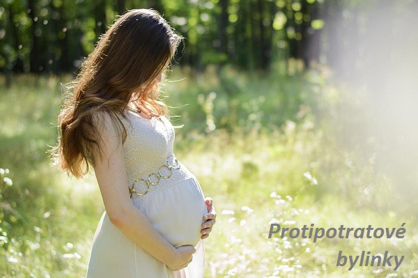 Prevence potratu - byliny, bylinky, babské rady, protipotratové byliny