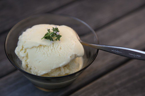 Zmrzlina z bezinek, květu bezu černého - recept, postup, návod, suroviny, ingredicence